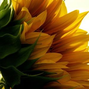 Meet your Posher, Kelli